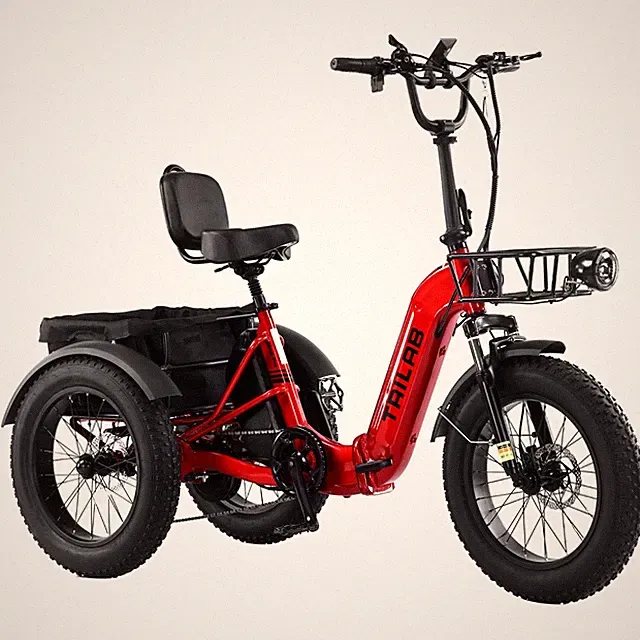 Adult 500W 48V Folding Electric Tricycle, 20x4.0 Fat Tire 3Wheel Ebike,Reverse